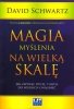 Magia myślenia na wielką skalę
